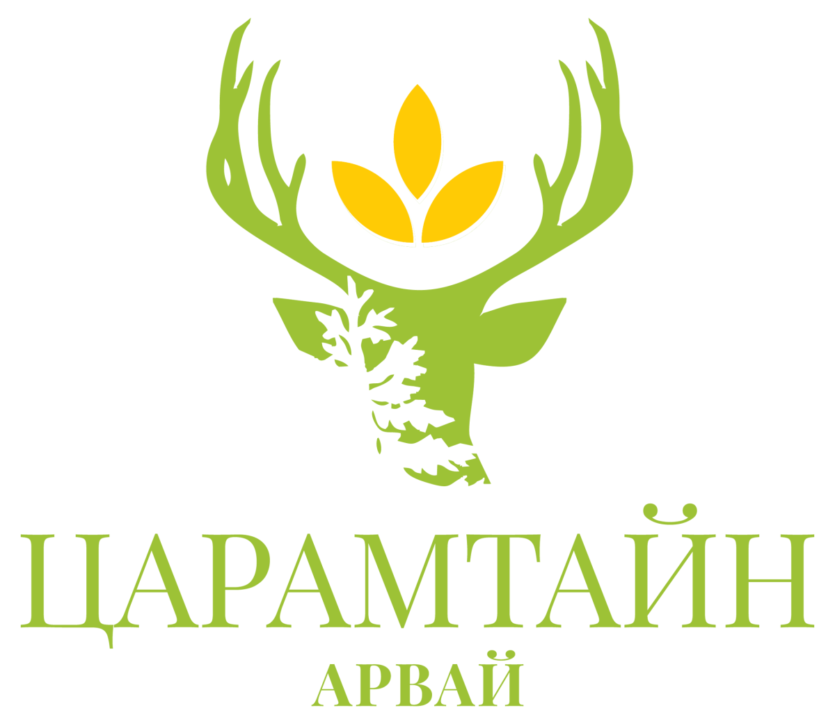 tsaramtainarvai.mn
